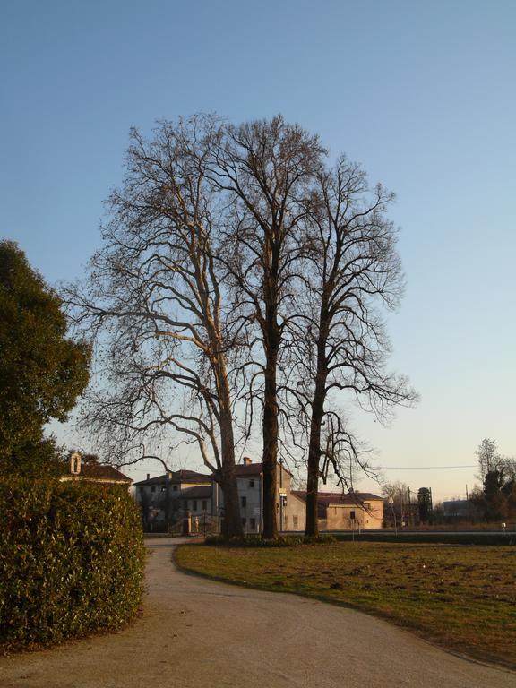 B&B Giardino Jappelli Rosà Екстериор снимка